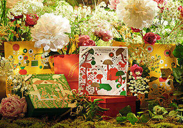 Recyclable Gift Boxes